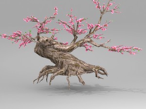 peach blossom tree 3Dモデル