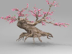 peach blossom tree 3D Model