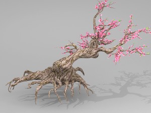 peach blossom tree 3Dモデル