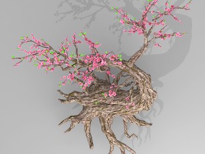 peach blossom tree 3Dモデル