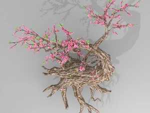 peach blossom tree 3D Model