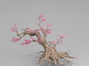 peach blossom tree 3Dモデル