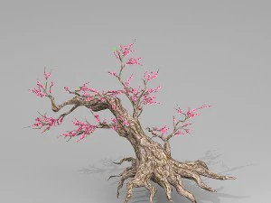 peach blossom tree 3D Model