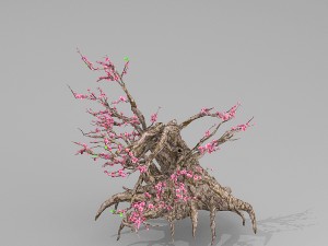peach blossom tree 3Dモデル