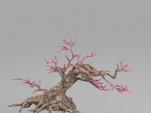 peach blossom tree 3D Model