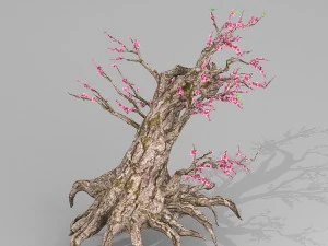 peach blossom tree 3D Model