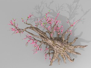 peach blossom tree 3Dモデル