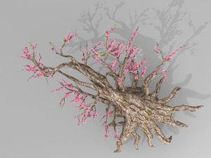 peach blossom tree 3D Model