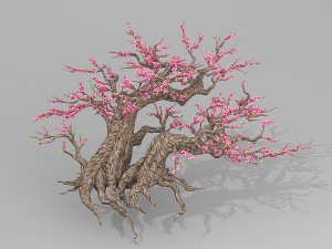 peach blossom tree 3Dモデル