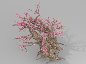 peach blossom tree 3Dモデル