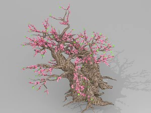 peach blossom tree 3D Model