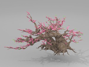 peach blossom tree 3Dモデル