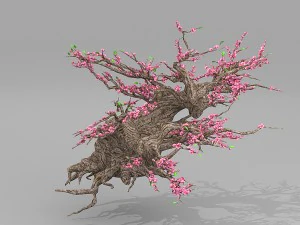 peach blossom tree 3D Model