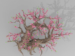 peach blossom tree 3Dモデル