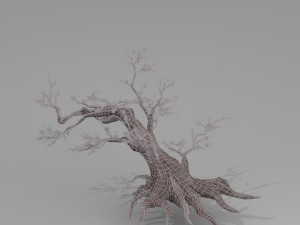 peach blossom tree 3Dモデル