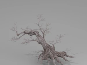 peach blossom tree 3D Model
