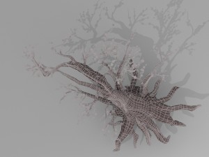 peach blossom tree 3Dモデル
