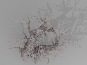 peach blossom tree 3Dモデル