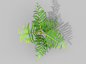 plant set Model 3D