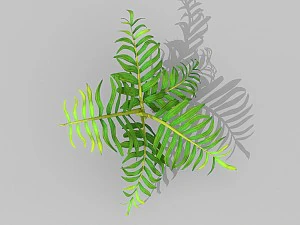 plant set 3D Model
