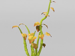 plant set Model 3D