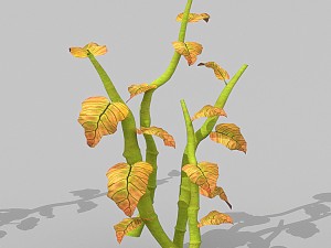 plant set Model 3D