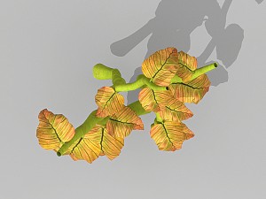 plant set Model 3D