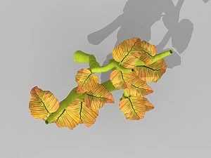 plant set 3D Model