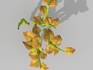 plant set Model 3D