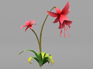 plant set Model 3D