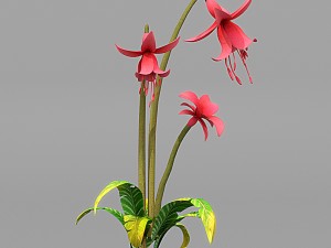 plant set Model 3D