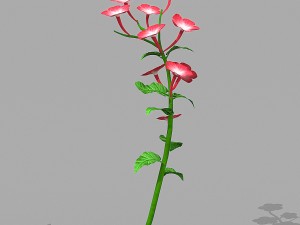 plant set Model 3D