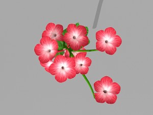 plant set Model 3D