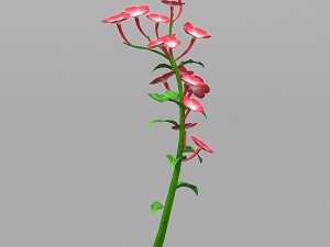 plant set Model 3D