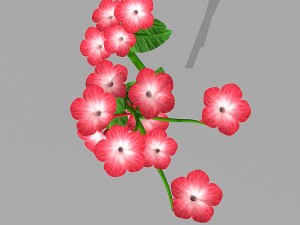 plant set Model 3D