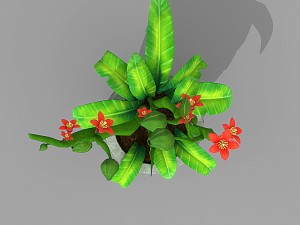 plant set Model 3D