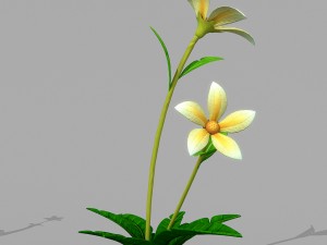 plant set Model 3D