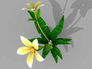 plant set Model 3D