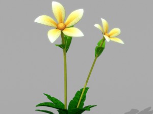 plant set Model 3D