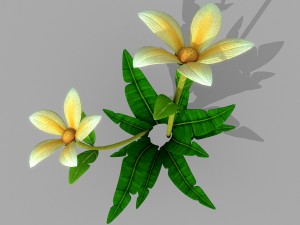 plant set Model 3D