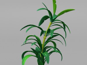 plant set Model 3D