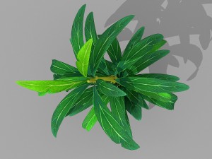 plant set Model 3D