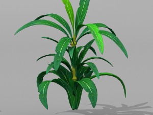 plant set Model 3D