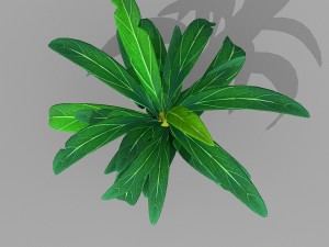 plant set Model 3D