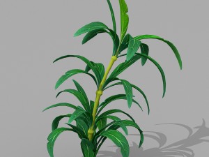 plant set Model 3D