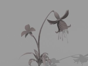 plant set Model 3D
