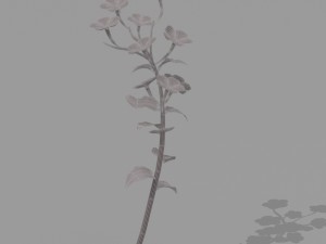 plant set Model 3D