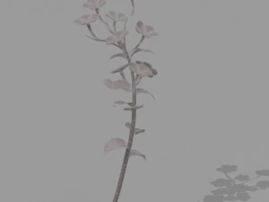 plant set 3D Model