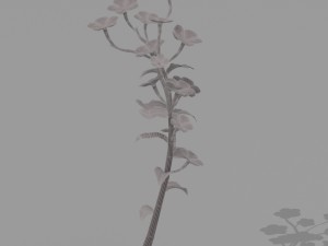 plant set Model 3D