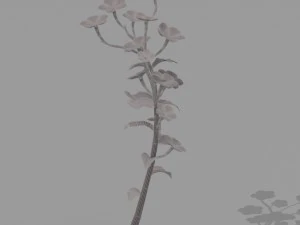 plant set 3D Model